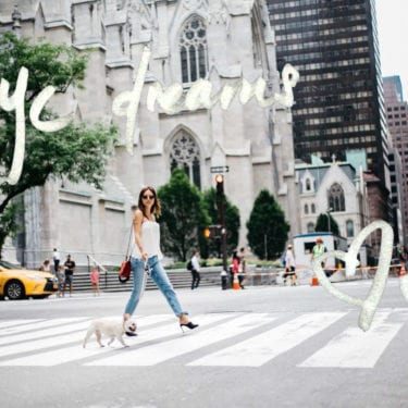 girl with frenchie walking in nyc